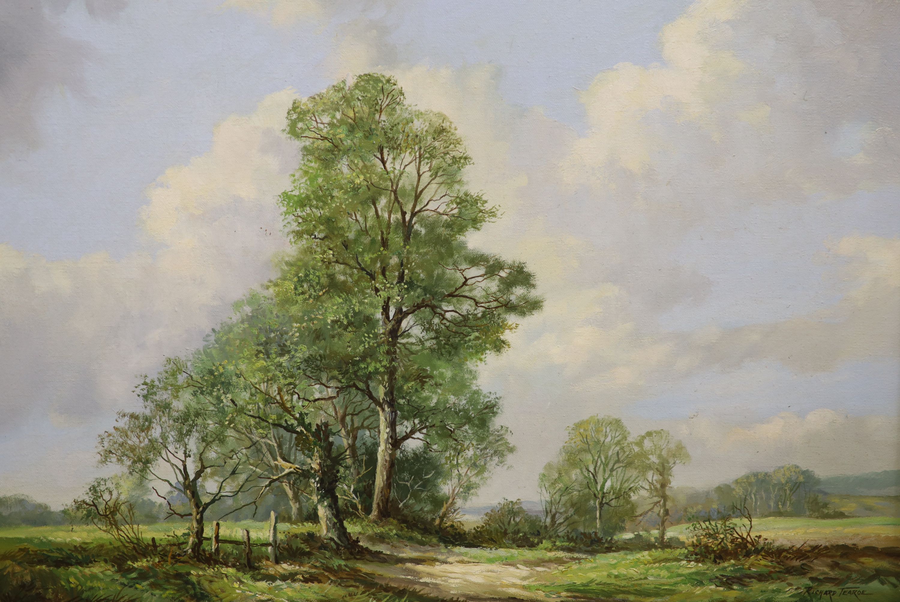 Richard Tearoe, oil on canvas, Trees in a landscape, signed, 45 x 60cm